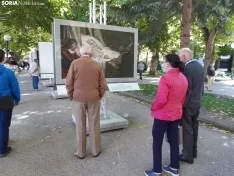 'El Museo del Prado en las calles' hace parada en Soria.