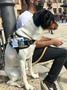 Concentración en Duruelo contra el nuevo mirador de Castroviejo.