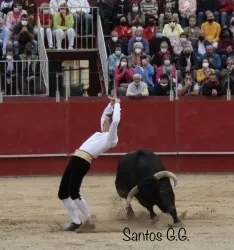 Foto 6 - Galer&iacute;a: sorprendentes e imposibles recortes en &Aacute;greda