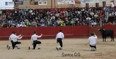 Foto 5 - Galer&iacute;a: sorprendentes e imposibles recortes en &Aacute;greda