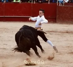 Foto 3 - Galer&iacute;a: sorprendentes e imposibles recortes en &Aacute;greda