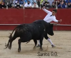 Foto 8 - Galer&iacute;a: sorprendentes e imposibles recortes en &Aacute;greda