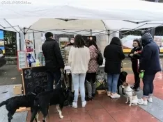 Foto 2 - La lluvia impide la celebraci&oacute;n de la I Feria de Mascotas de Soria