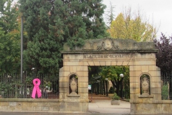 El cáncer de mama y sus afectaciones económicas y laborales en Soria