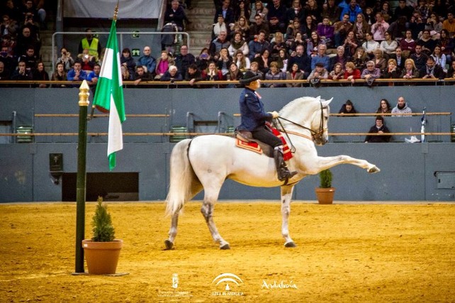 Foto archivo del espectáculo.