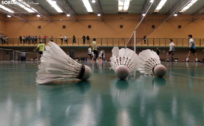 GALERÍA: Sana competitividad en el Provincial de bádminton