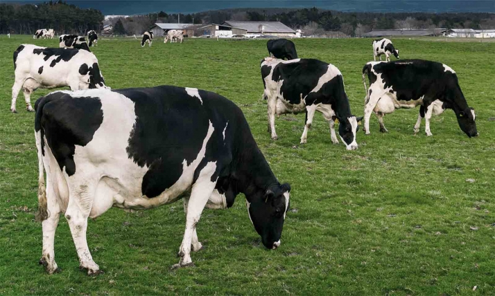 ASAJA: La negativa de la CHD a la prospección en Noviercas puede cortar el progreso de la provincia