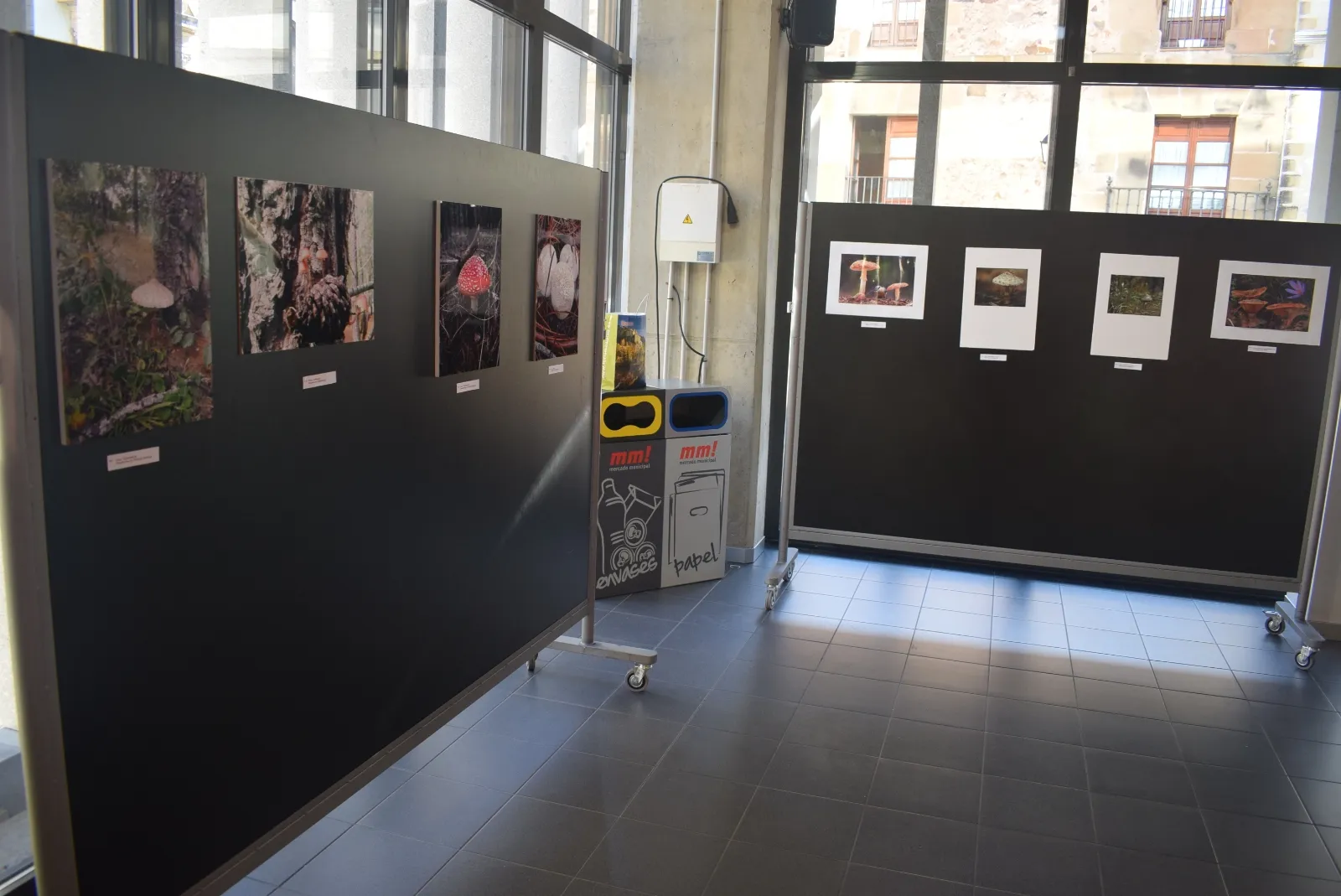 La exposición del concurso. /ASOCOMM