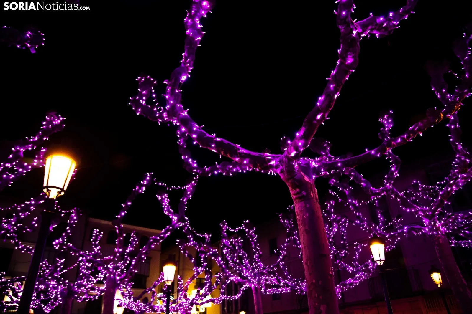 Soria ilumina la Navidad / María Ferrer