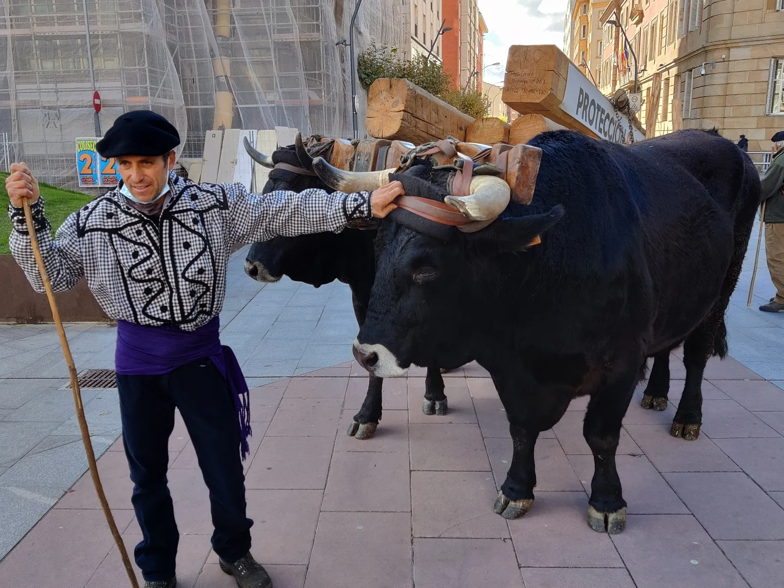 Foto 7 - Jarda y Payaso reivindican en Soria el legado de una raza que se niega a desaparecer