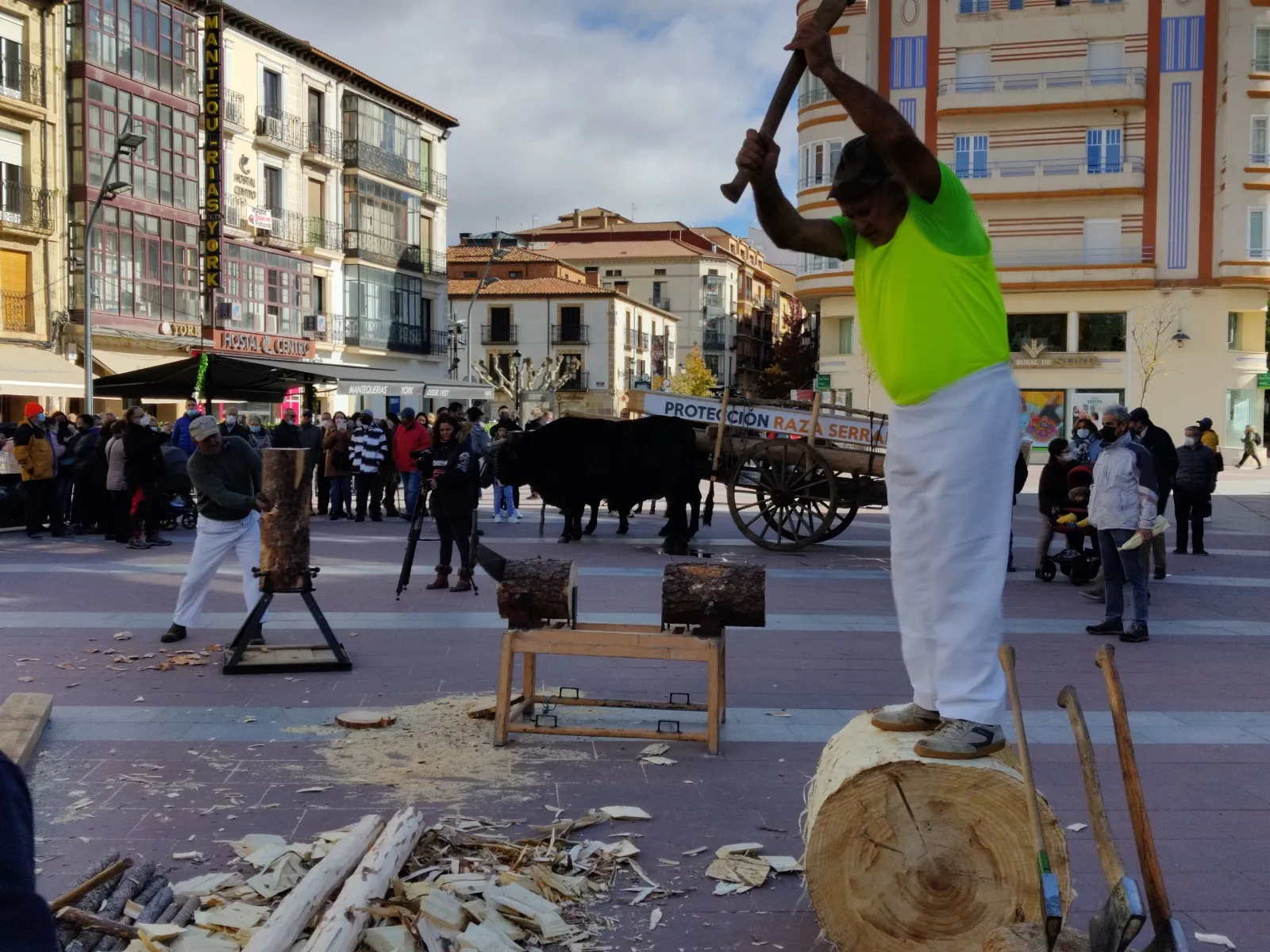 Foto 2 - Jarda y Payaso reivindican en Soria el legado de una raza que se niega a desaparecer