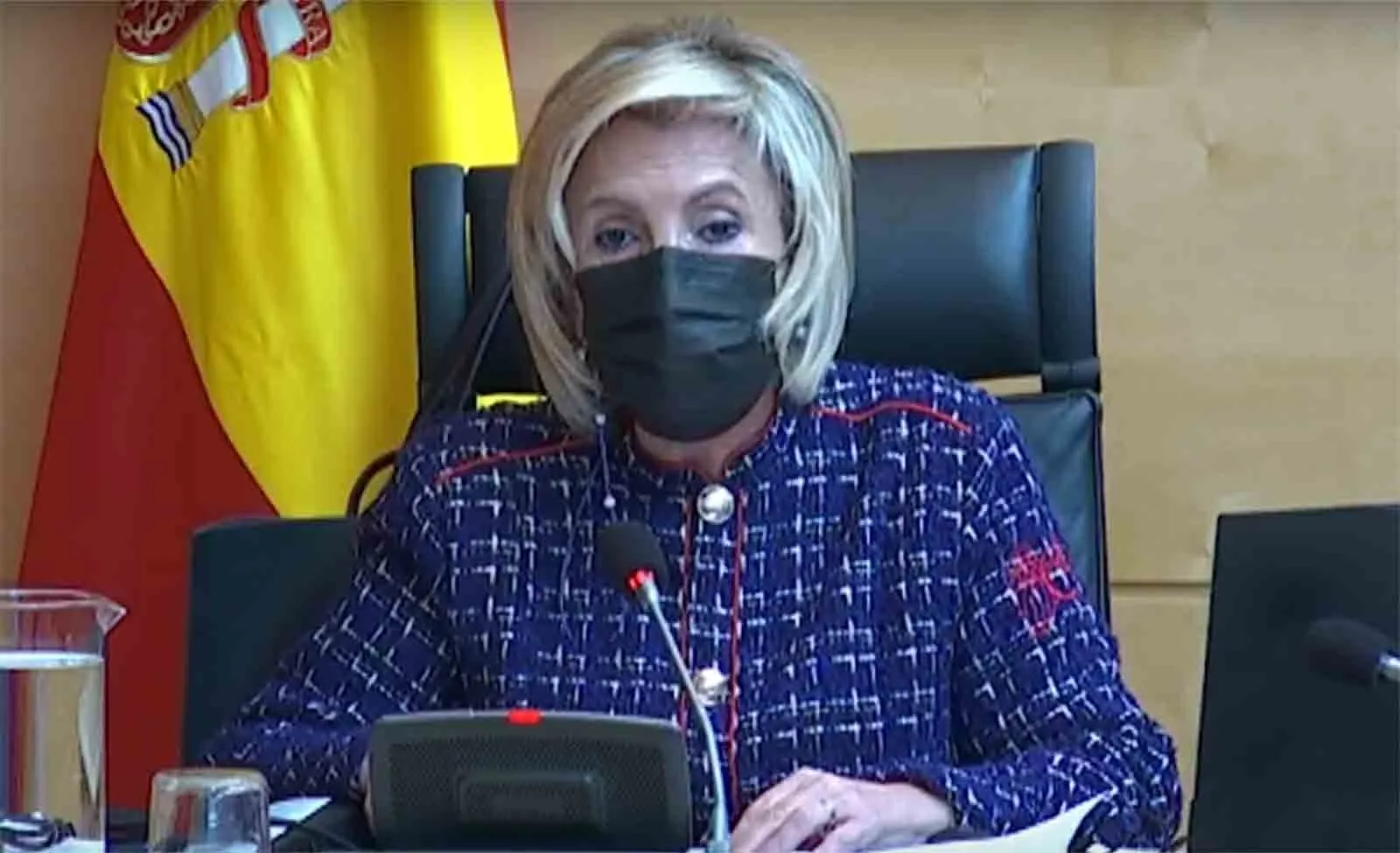 La consejera de Sanidad en su comparecencia hoy. /Jta.