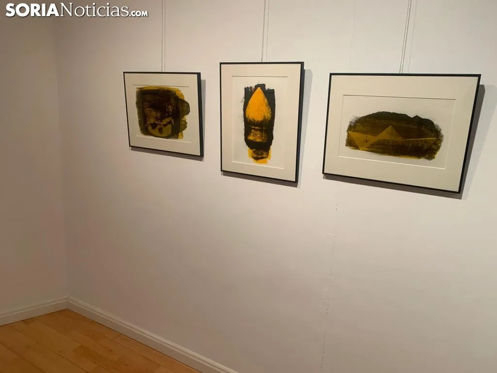 Foto 11 - &lsquo;La colectiva Fundaci&oacute;n DEARTE&rsquo;, una exposici&oacute;n para atraer a los j&oacute;venes sorianos