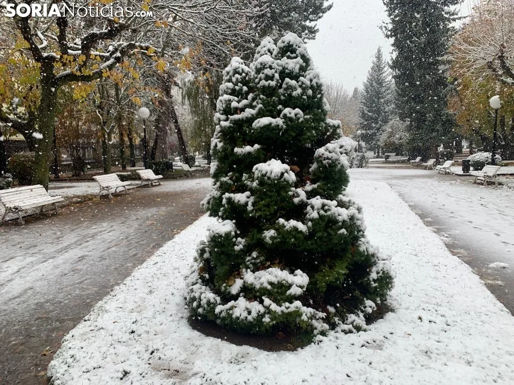 Foto 11 - Galer&iacute;a: Estampas nevadas de lugares emblem&aacute;ticos de Soria