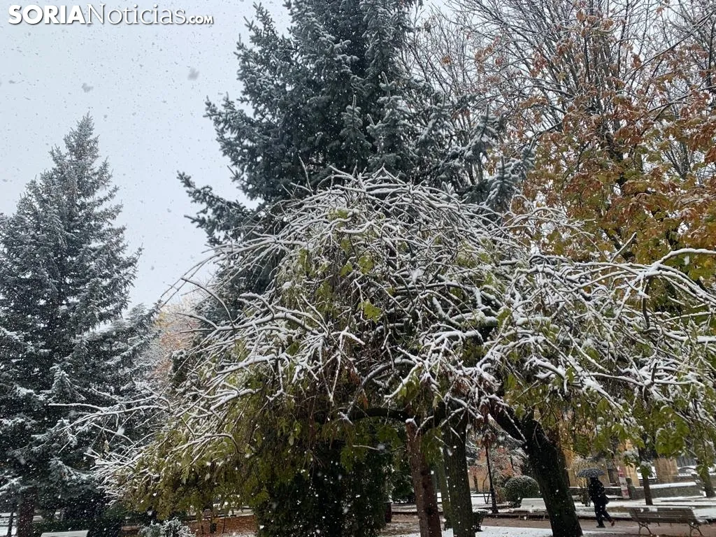 Foto 14 - Galer&iacute;a: Estampas nevadas de lugares emblem&aacute;ticos de Soria