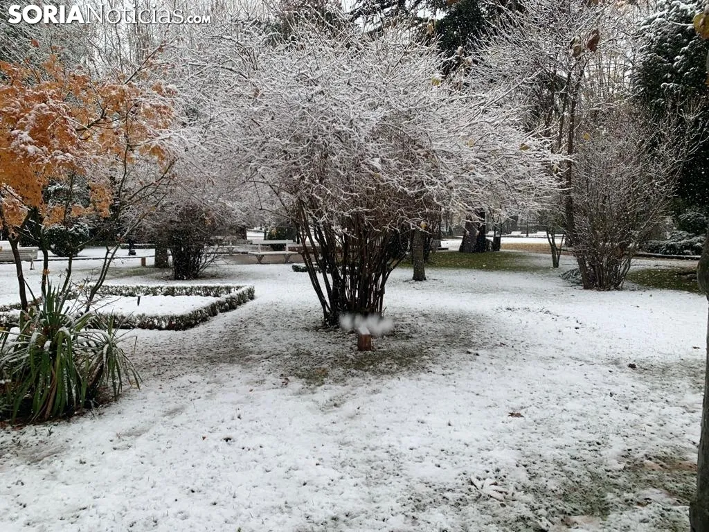 Foto 15 - Galer&iacute;a: Estampas nevadas de lugares emblem&aacute;ticos de Soria