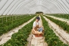 Foto 1 - Soria necesita más jóvenes para impulsar la agricultura provincial