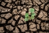 Foto 1 - Castilla y León concede 13 millones de euros en ayudas para las explotaciones afectadas por la sequía