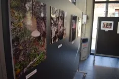 La exposición del concurso. /ASOCOMM