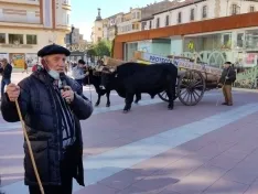 Foto 4 - Jarda y Payaso reivindican en Soria el legado de una raza que se niega a desaparecer