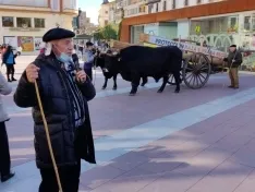 Foto 17 - Jarda y Payaso reivindican en Soria el legado de una raza que se niega a desaparecer