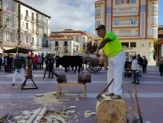 Foto 20 - Jarda y Payaso reivindican en Soria el legado de una raza que se niega a desaparecer