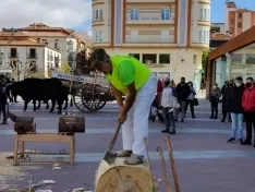 Foto 18 - Jarda y Payaso reivindican en Soria el legado de una raza que se niega a desaparecer