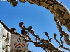 Comienzan a instalarse las luces de Navidad en Soria. 