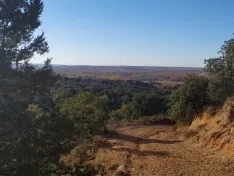 Foto 4 - Quintanilla de Tres Barrios, balconada al horizonte