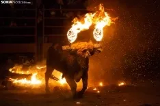Toro Jubilo / María Ferrer