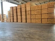 Foto 6 - Biomasa y madera, materias claves del I Foro de Bioeconom&iacute;a