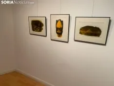 Foto 11 - &lsquo;La colectiva Fundaci&oacute;n DEARTE&rsquo;, una exposici&oacute;n para atraer a los j&oacute;venes sorianos