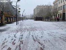 Foto 6 - Galer&iacute;a: Estampas nevadas de lugares emblem&aacute;ticos de Soria