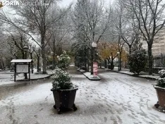Foto 7 - Galer&iacute;a: Estampas nevadas de lugares emblem&aacute;ticos de Soria