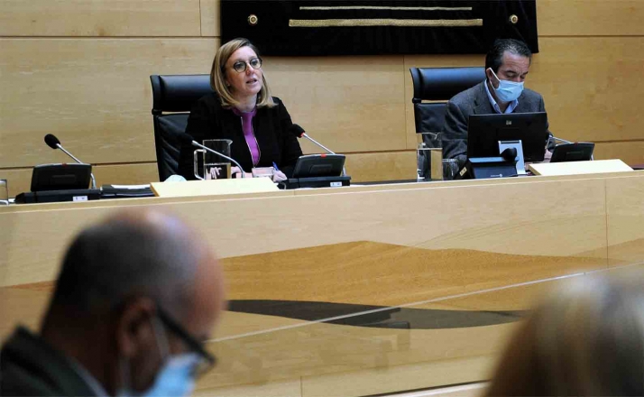 20 M&euro; para nuevas ayudas a la natalidad y el cuidado de hijos en el presupuesto de Familia e Igualdad, el más alto de su historia