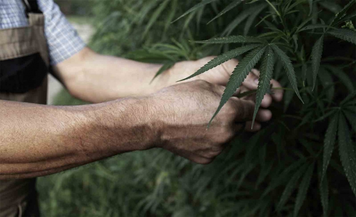 Apoyo de CGT contra los despidos en Ondara