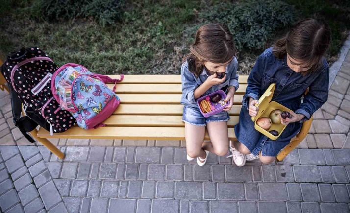 Nace la Red de Escuelas Saludables de Castilla y León