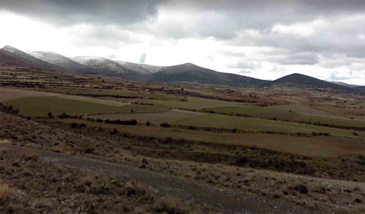 La Junta adjudica en 7,1 M&euro; infraestructuras para la concentración parcelaria de Ágreda