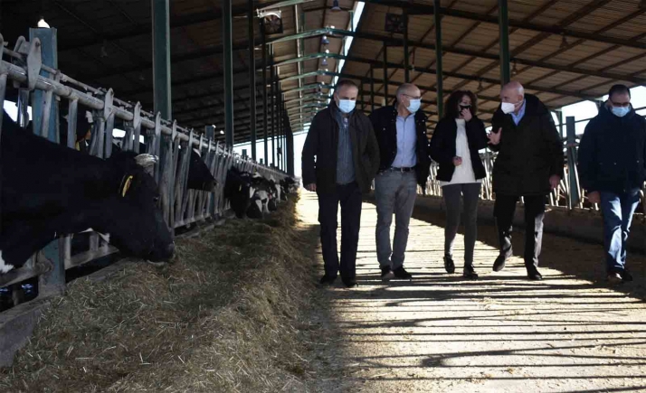 La Junta anuncia ayudas covid por 5,2 M€ para el vacuno de leche