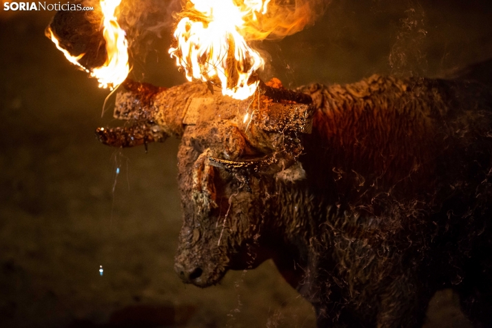 FOTOS: El Toro Jubilo enciende, tras dos años de espera, la noche en Medinaceli