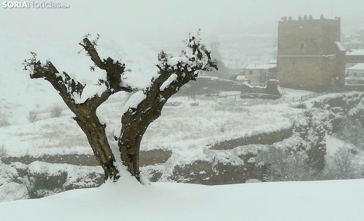 Se declara la alerta por nevadas en Burgos y Soria
