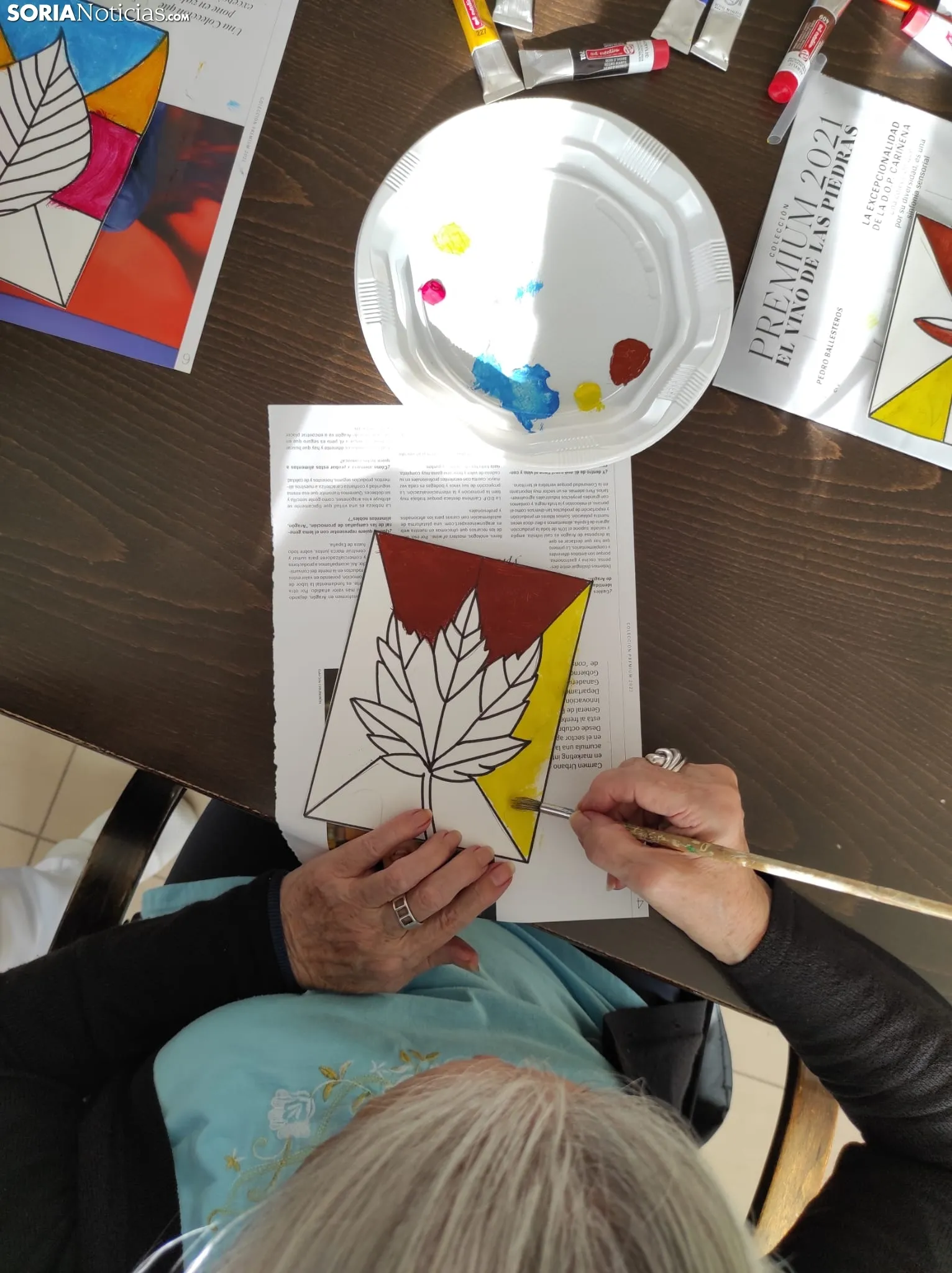 Foto 2 - Terapia para dar calidad de vida a los a&ntilde;os y optimizar nuestras funciones