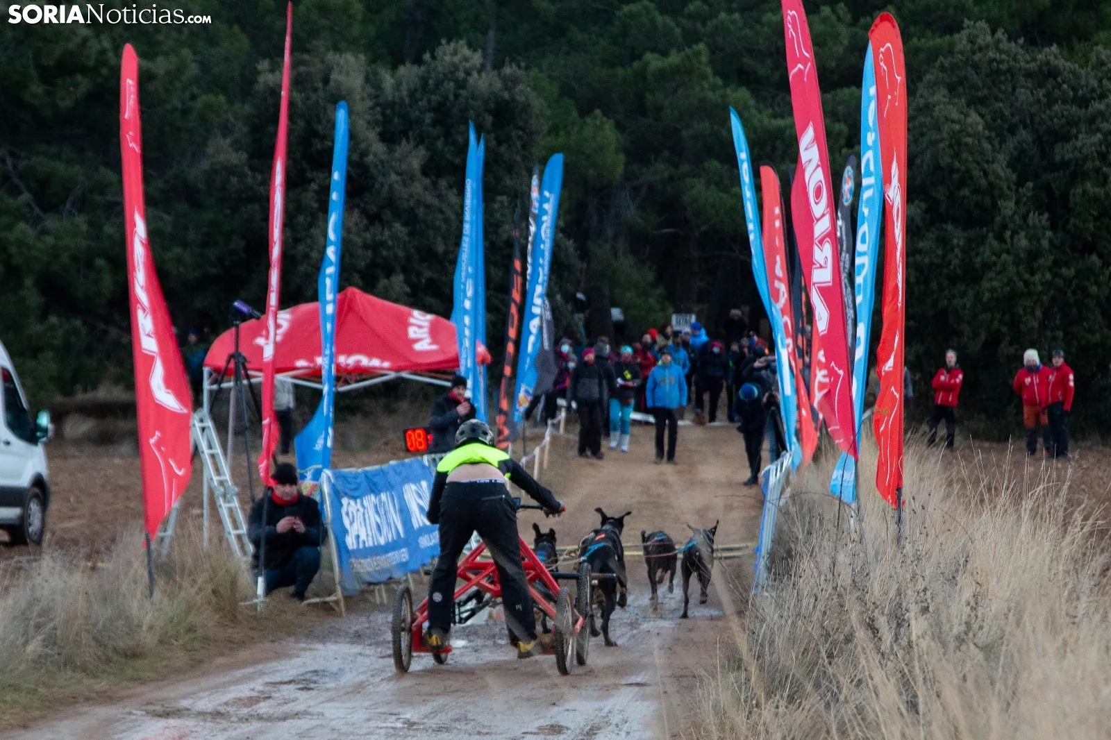 Mushing conquista Ólvega / María Ferrer