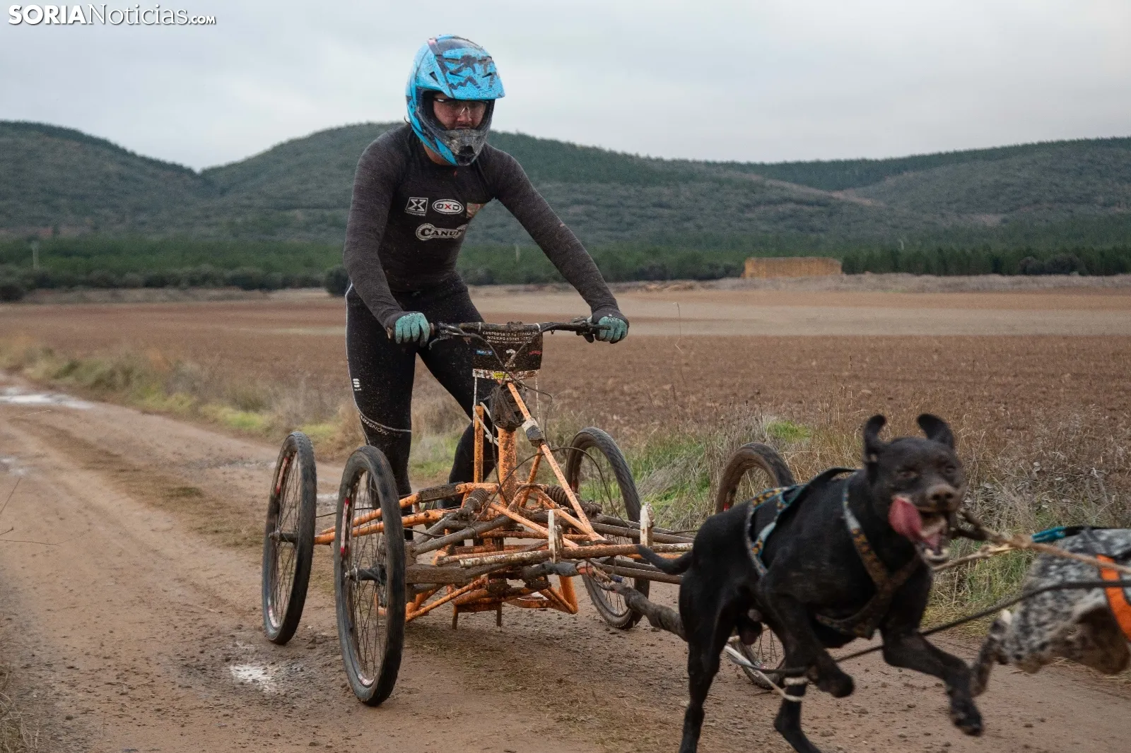 Mushing conquista Ólvega / María Ferrer