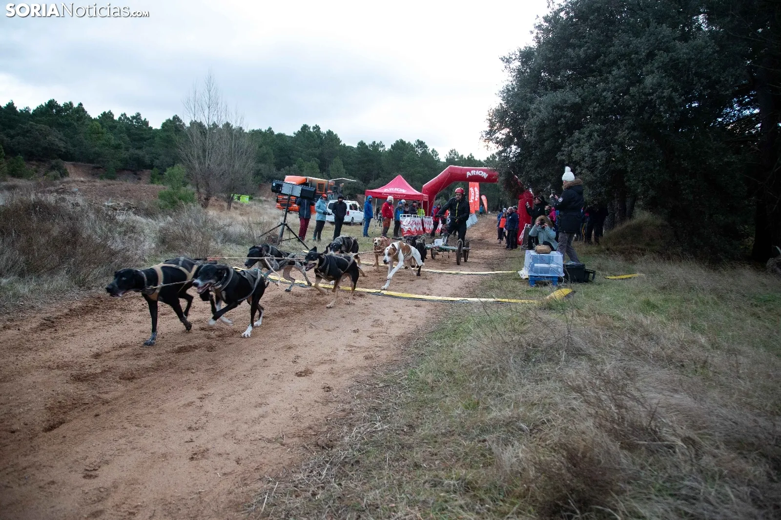 Mushing conquista Ólvega / María Ferrer