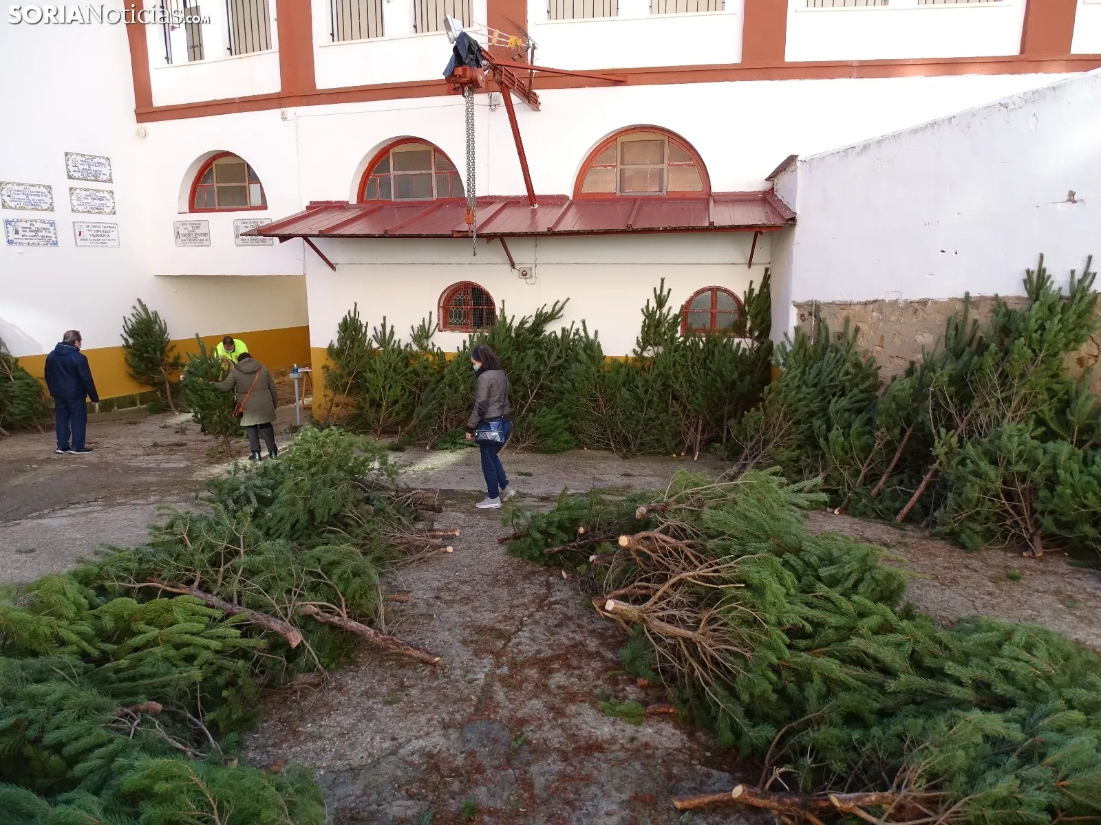 Imágenes del reparto de pinos esta mañana. SN