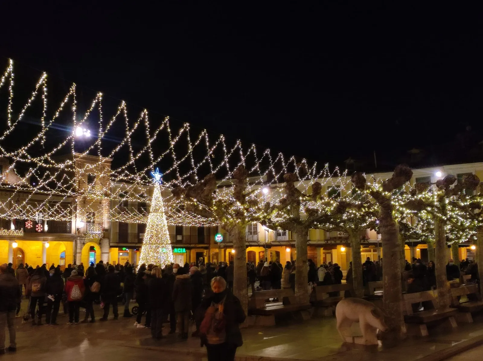 Foto 8 - El Burgo de Osma da el pistoletazo de salida a la Navidad con el encendido de sus luces 