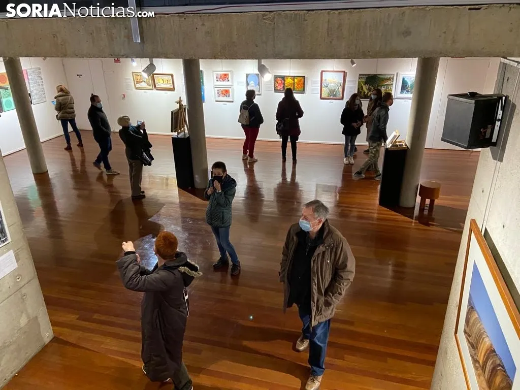Foto 10 - La exposici&oacute;n 'Filias y Fobias' llega al Palacio de la Audiencia