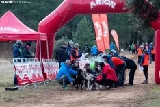 Mushing conquista Ólvega / María Ferrer
