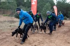 Mushing conquista Ólvega / María Ferrer